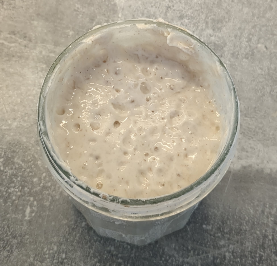 Happy and healthy sourdough starter